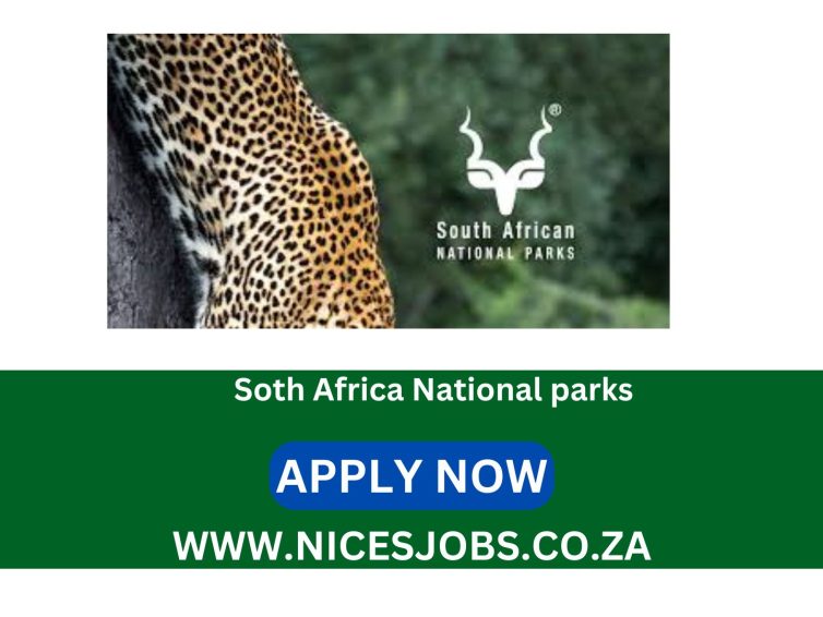 SA National Parks: Assistant